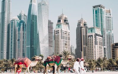 هنر تعامل چند زبانه با مشتری